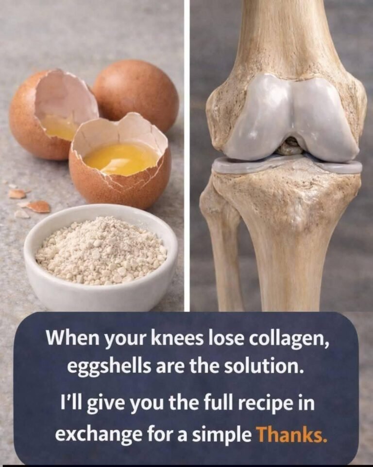 Why People Are Turning to Eggshells for Joint Comfort: The Truth About Natural Collagen and Calcium