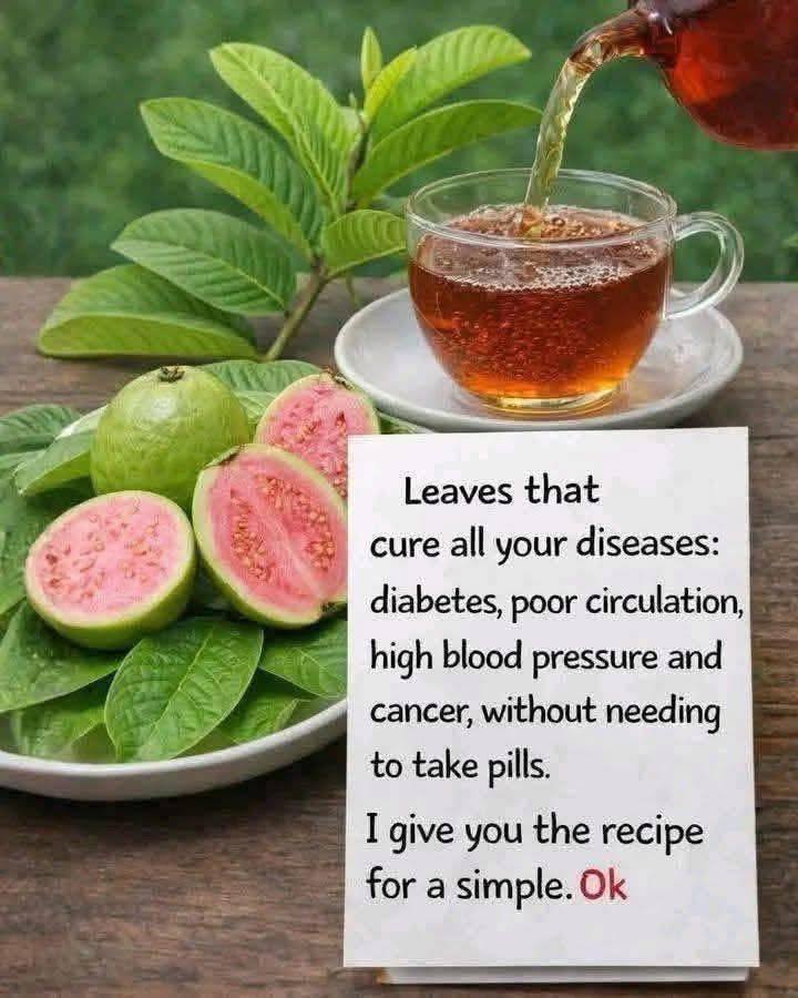 The Truth Behind Guava Leaf Tea: Folklore vs. Medical Science