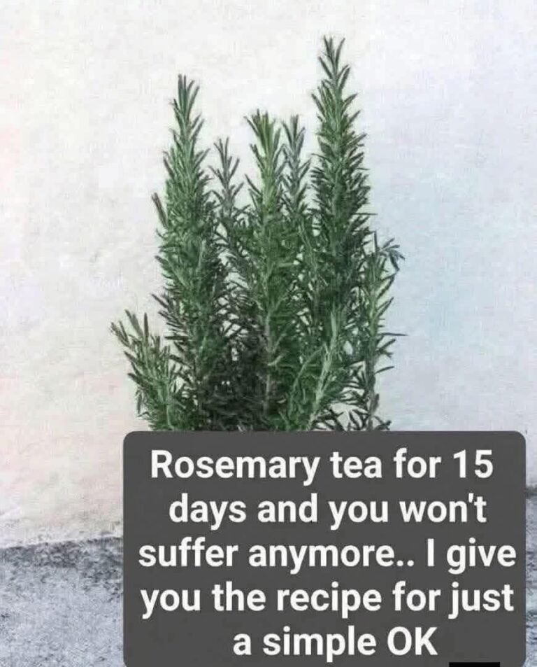 Natural Morphine: The Science and Strategy Behind Rosemary Tea for Pain Relief
