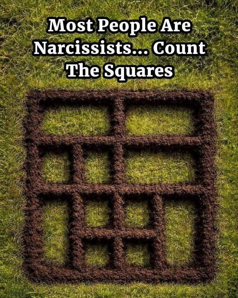 “Most People Are Narcissists… Count the Squares” – The Viral Dirt Grid Puzzle Explained