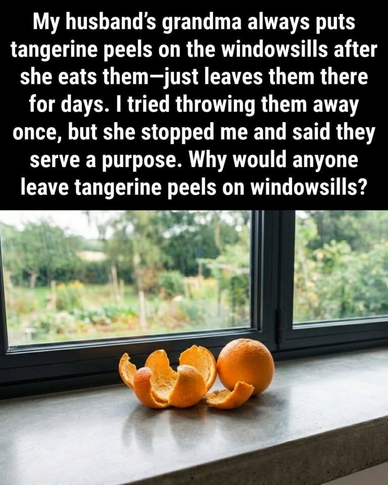 My Husband’s Grandma Always Puts Tangerine Peels on the Windowsills—I Finally Figured Out Her Secret!