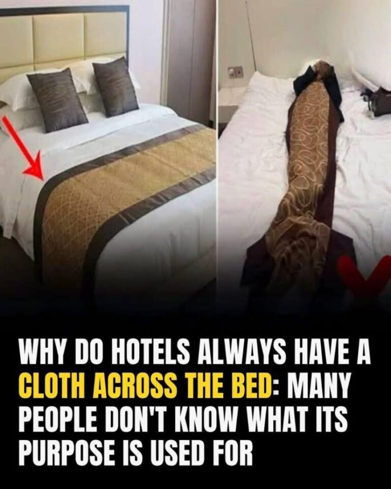 Why Do Hotels Put a Decorative Cloth Across the Bed? The Secret Purpose Most Guests Don’t Know!