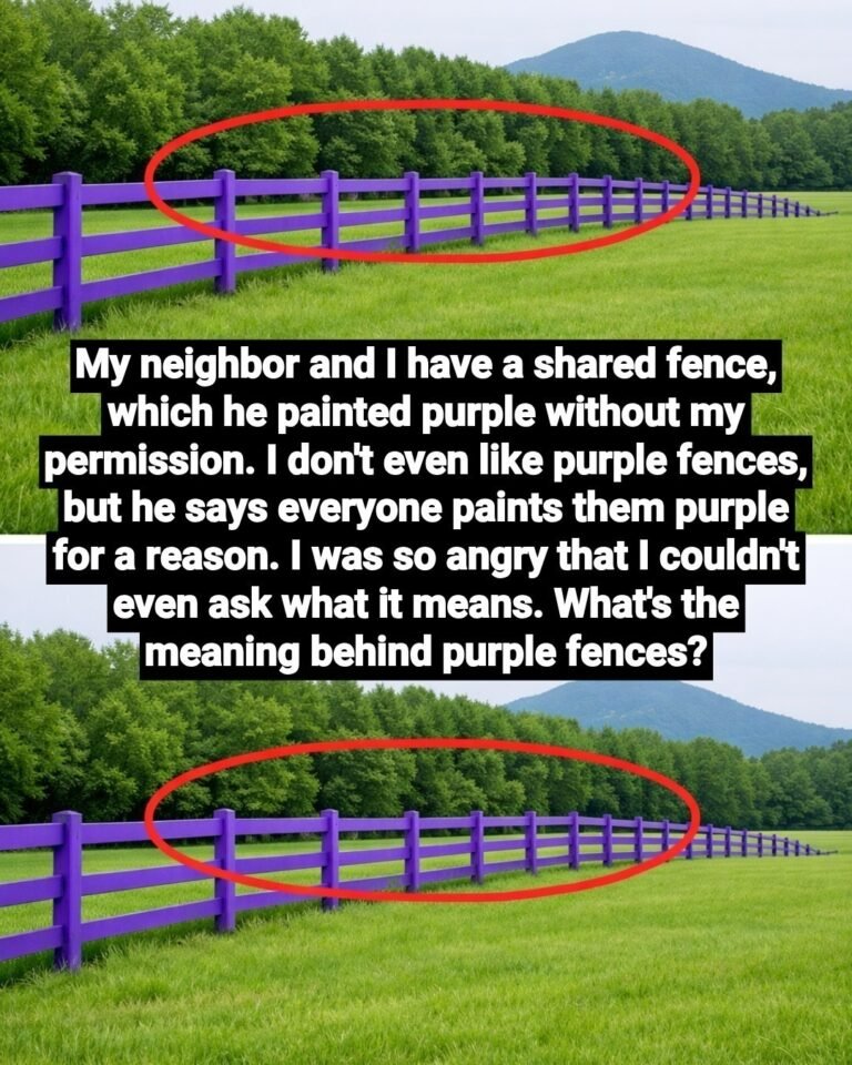 The Purple Fence Mystery: The Real Meaning Behind This Unusual Paint Color