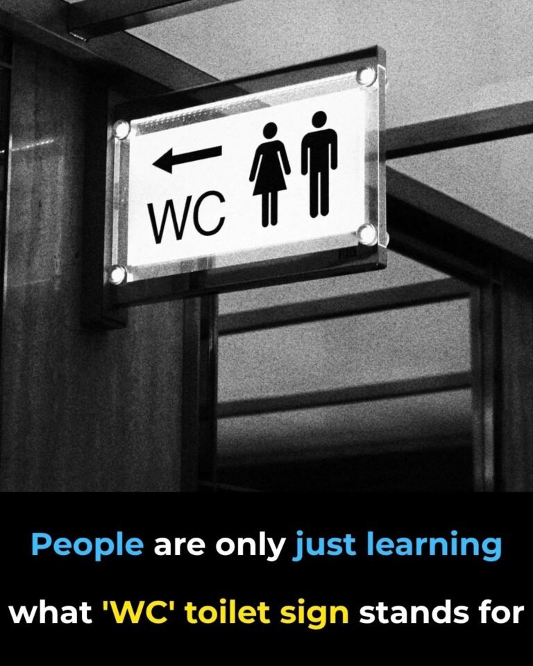 People Are Only Just Learning What the ‘WC’ Toilet Sign Actually Stands For!