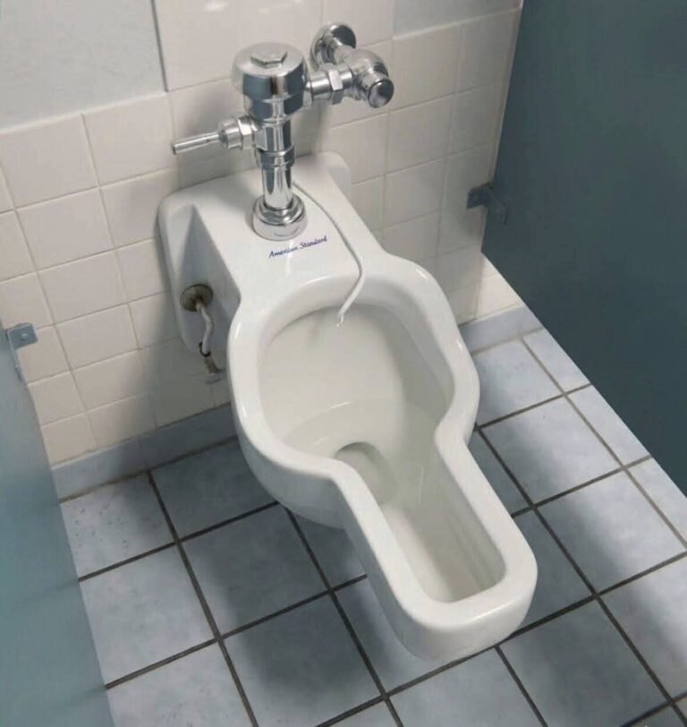 Unraveling the Mystery: That Unusual Toilet at the Space Center