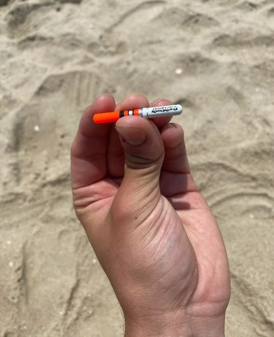 The Beach Mystery Solved: What is This Tiny Orange and White Capsule?