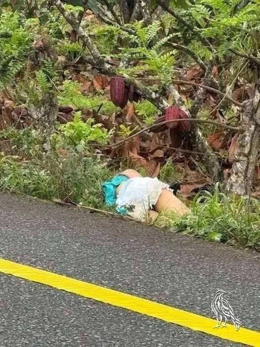 “They Found This Young Woman Dead Simply For Being…” — The Truth Behind the Viral Roadside Photo