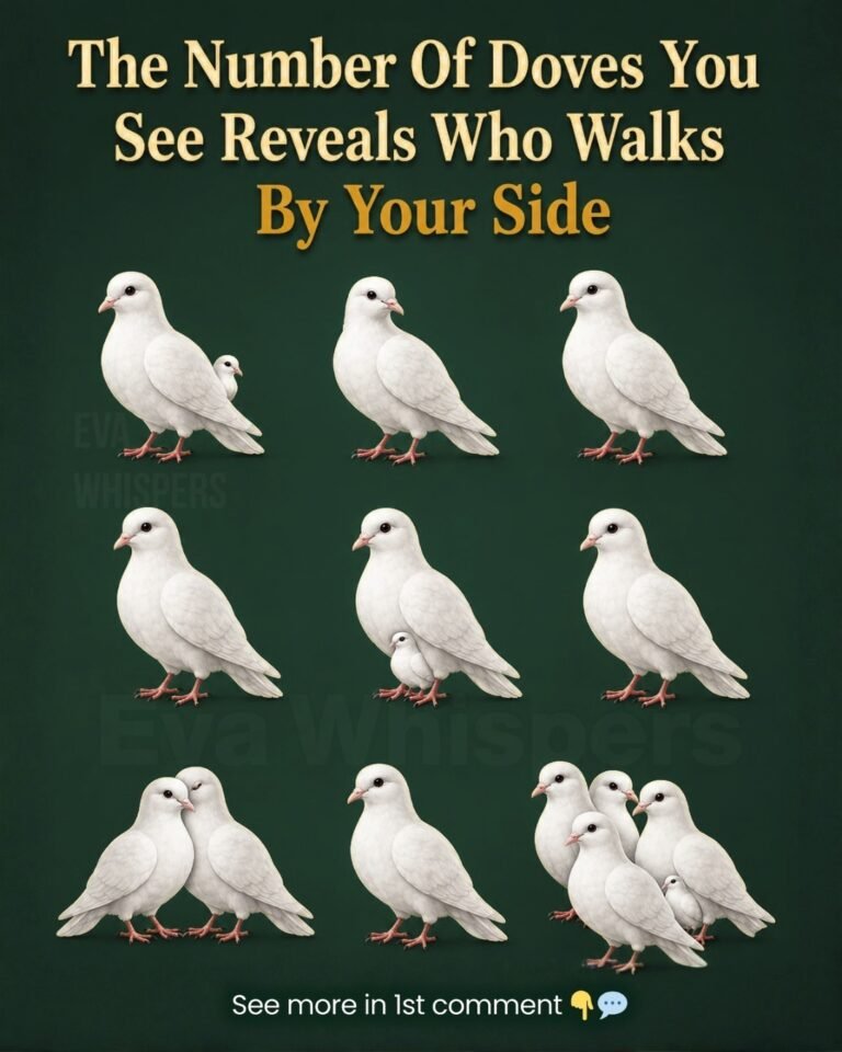 The Dove Count Challenge: The Hidden Details Only 5% of People Notice