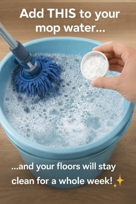 The “Salt in Mop Water” Trick: Fact vs. Fiction