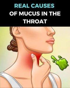 Breaking the Cycle: The Real Causes of Constant Throat Mucus and How to Get Rid of It