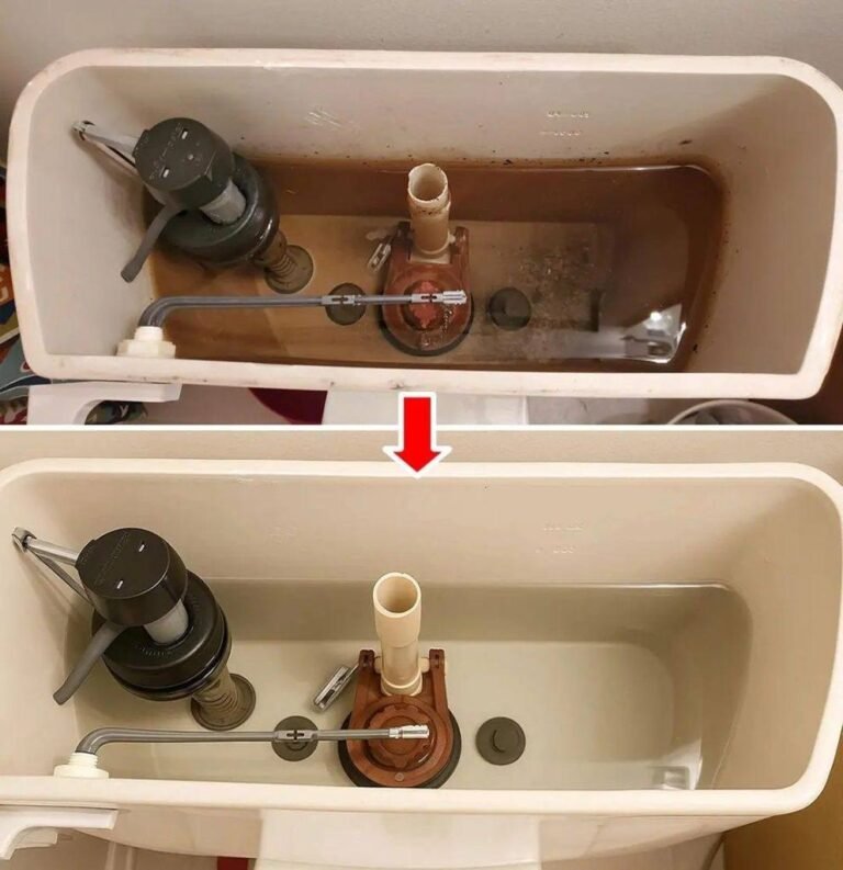 The Ultimate Guide to Cleaning Your Toilet Tank and Keeping It Running Like New 🚽✨