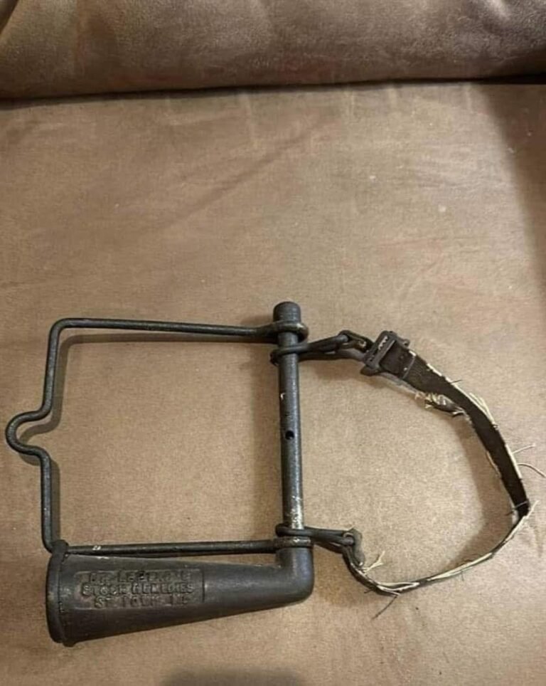 Unlocking the Mystery: What Exactly Is This Vintage Tool?
