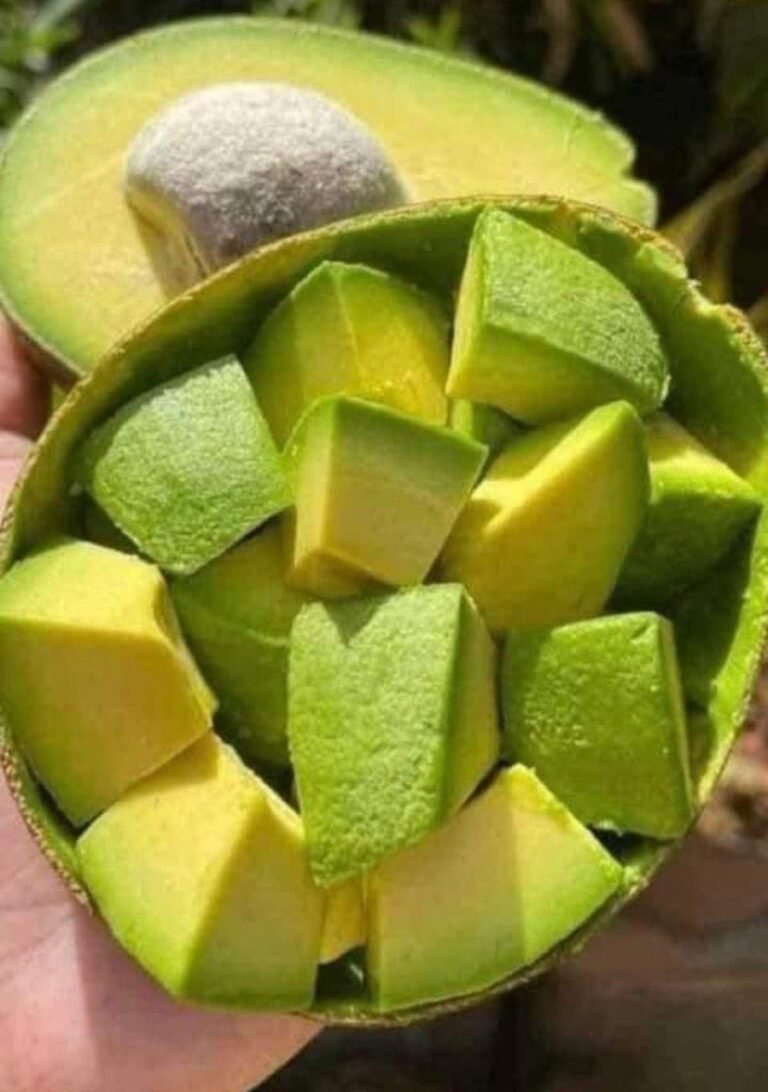 🥑 The Avocado Health Hook: What Happens to Your Body When You Eat Them?