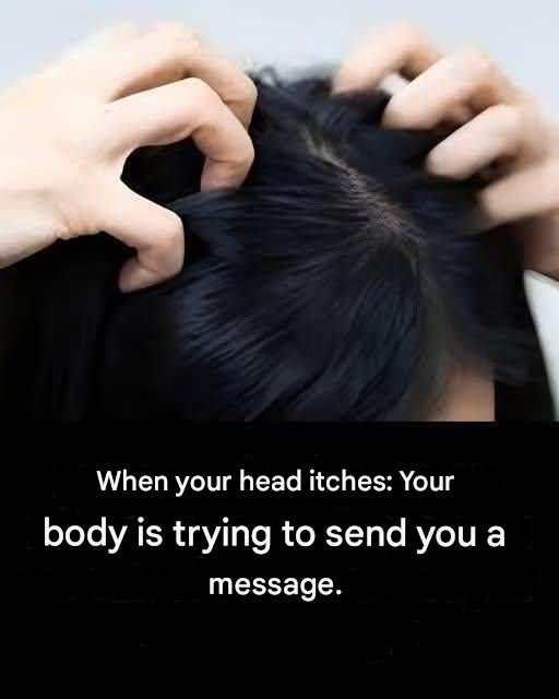Itchy scalp Here are the main causes