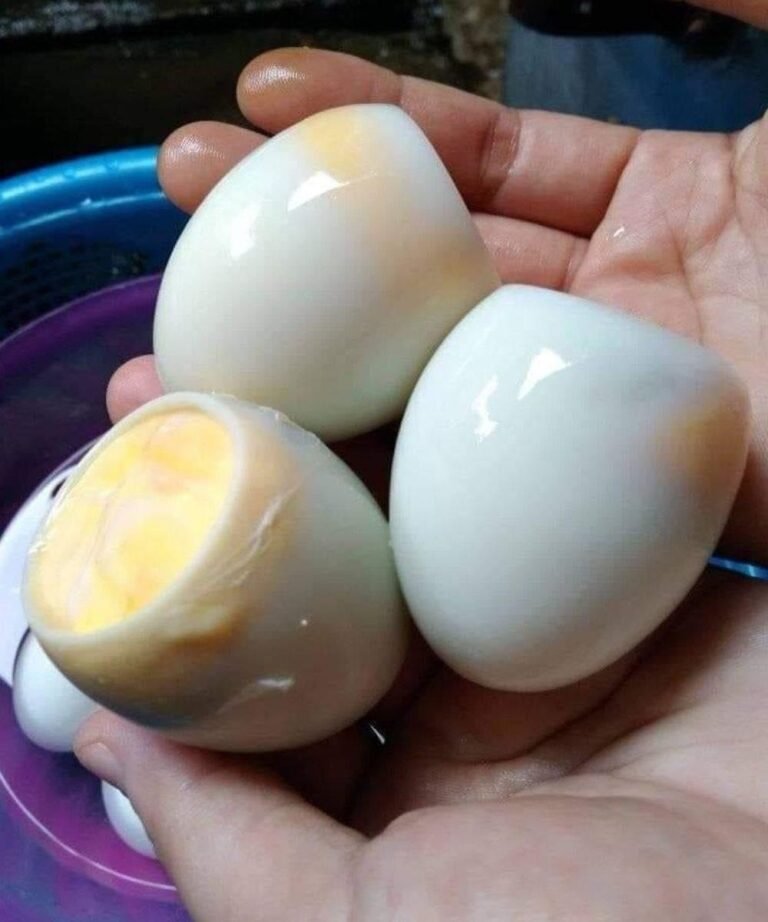 Morning Fuel: What Happens to Your Body When You Eat Boiled Eggs Daily 🥚💪