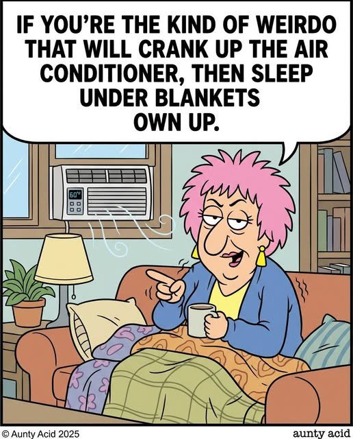 The Science of Comfort: Why We Love Cranking the AC and Snuggling Under Blankets 🥶🛌