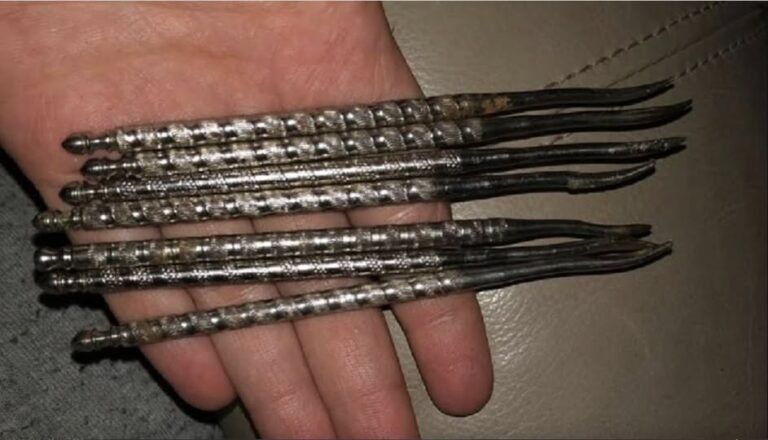 Uncovering History: The Mystery Behind These Ornate Vintage Objects Found in a Grandparents’ Home 🔍🕵️‍♂️