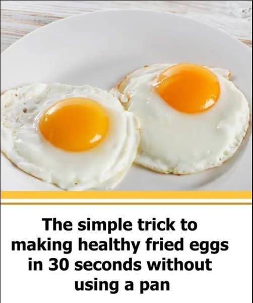 Beyond the “Quick Fix”: Mastering Your Kitchen and Your Media Diet