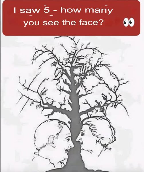 The Illusion of Perception: Why We Seek Faces in the Trees