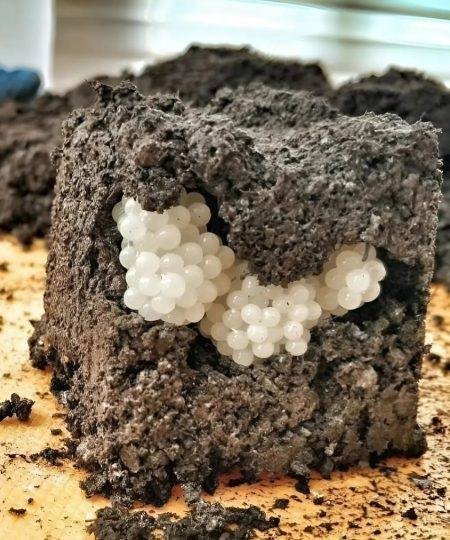 Unearthing the Mystery: What You Found in Your Yard