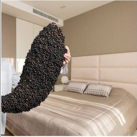 Black Pepper Under Your Bed: A Tradition Worth Exploring