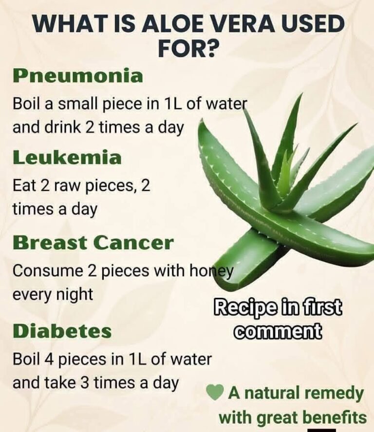 Health Problems That Aloe Vera Could Help Combat