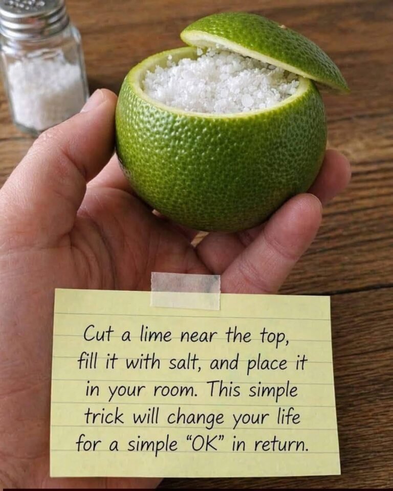 Lemon + salt in the room