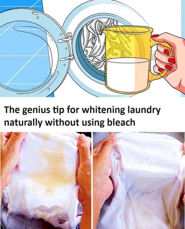 Search Results for: The genius tip for whitening laundry naturally without using bleach