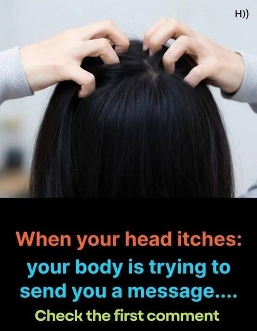 Itchy scalp Here are the main causes