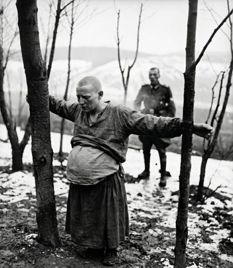 Risky Rescue: German Soldier Saves a Pregnant Woman – Then the Unexpected!