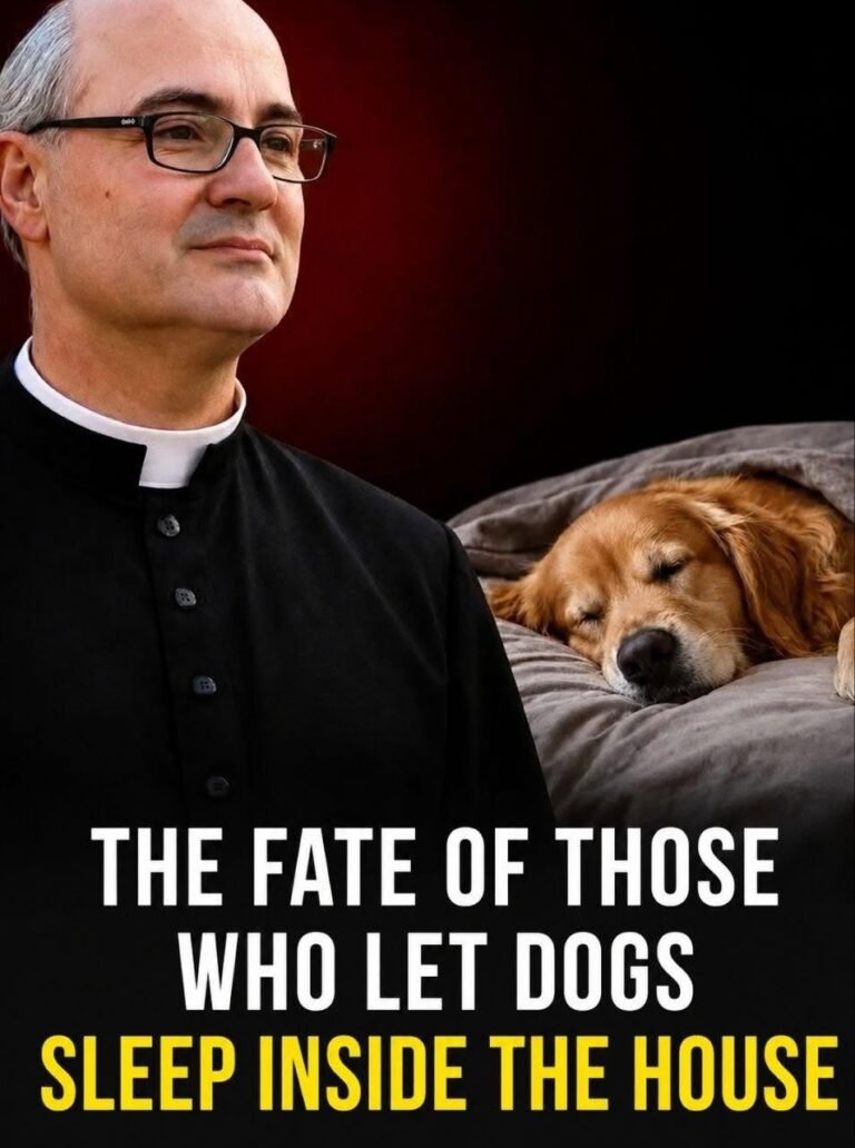 A priest revealed what happens in the houses where there are dogs sleeping inside
