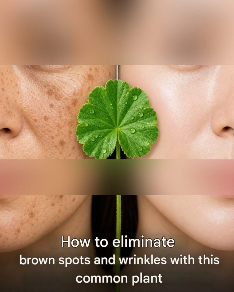 A true treasure of nature! How can this plant brighten your skin and reduce wrinkles? 