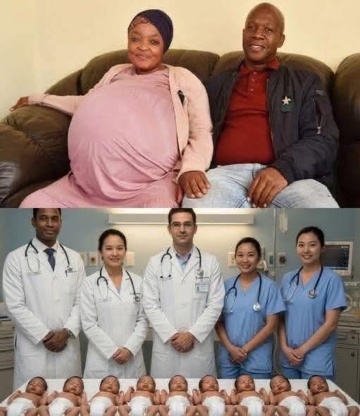 A Mother Gives Birth to 10 Babies… But One Wasn’t Human 😳💔 What Really Happened?