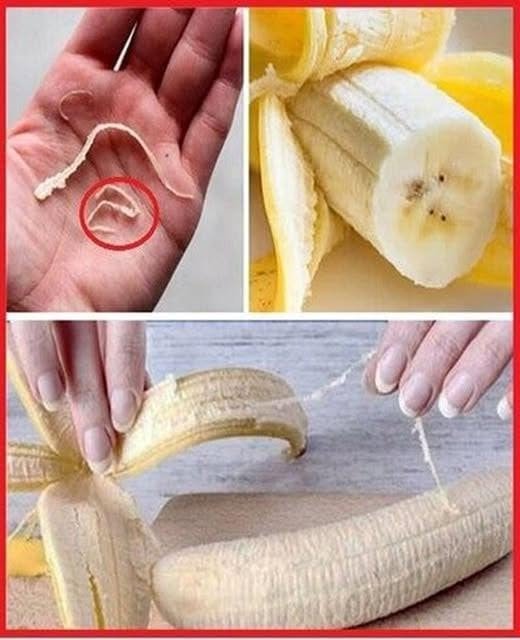 The Hidden Purpose of Those Strings on Bananas