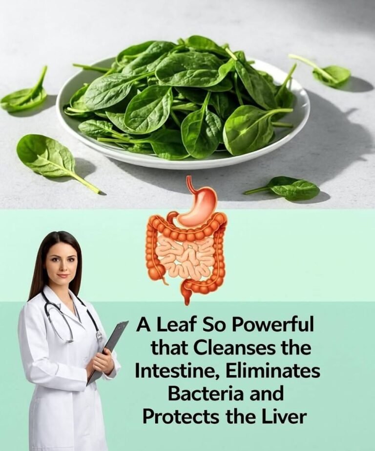 The Power of Spinach: Supporting Digestive and Overall Health