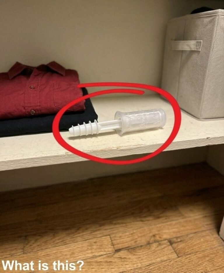 This Evening, I Opened My Wife’s Wardrobe and Discovered This Inside…