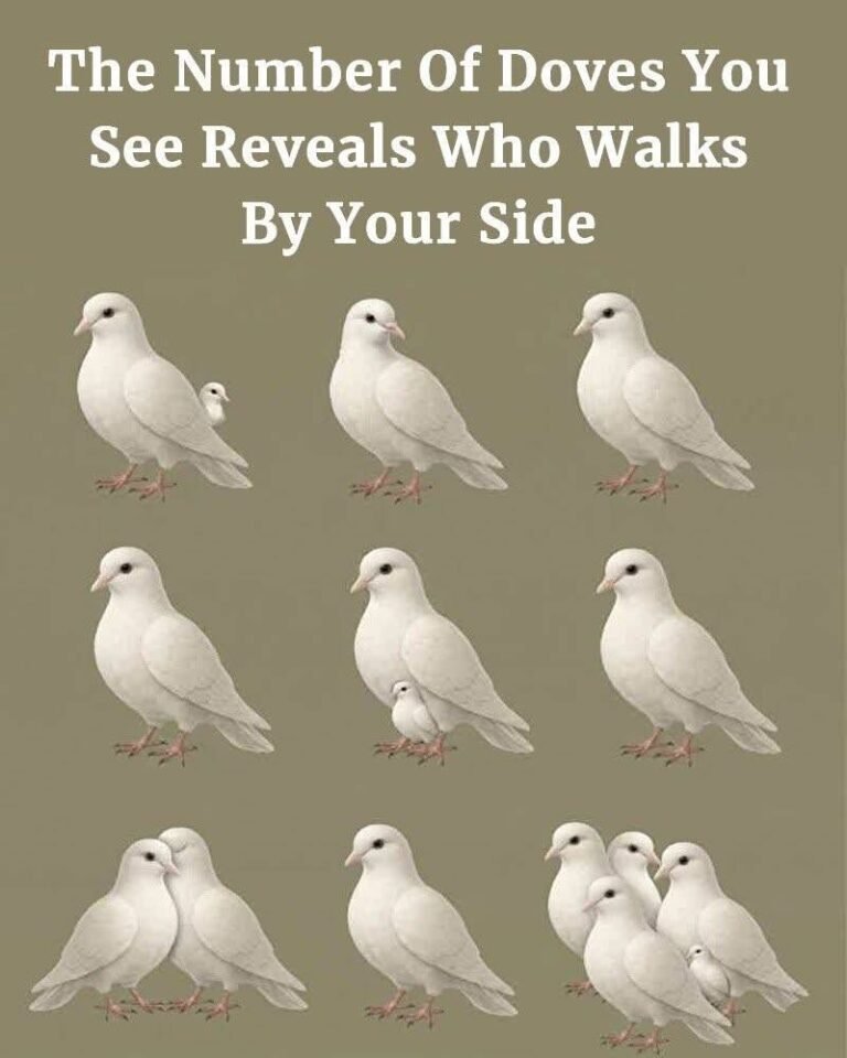 The Number of Doves You See First Reveals Who Walks Beside You