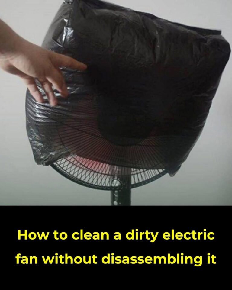 How to clean a dirty electric fan without disassembling it