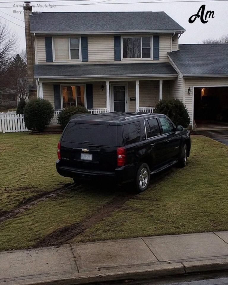 My Neighbor Parked His Car on My Lawn – The Surprise Waiting for Him the Next Morning Was Priceless