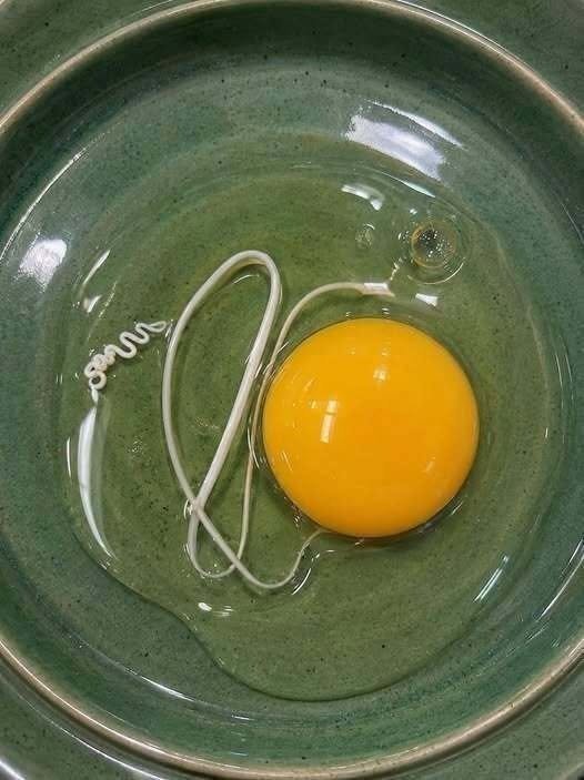This morning, I woke up and decided to make fried eggs.