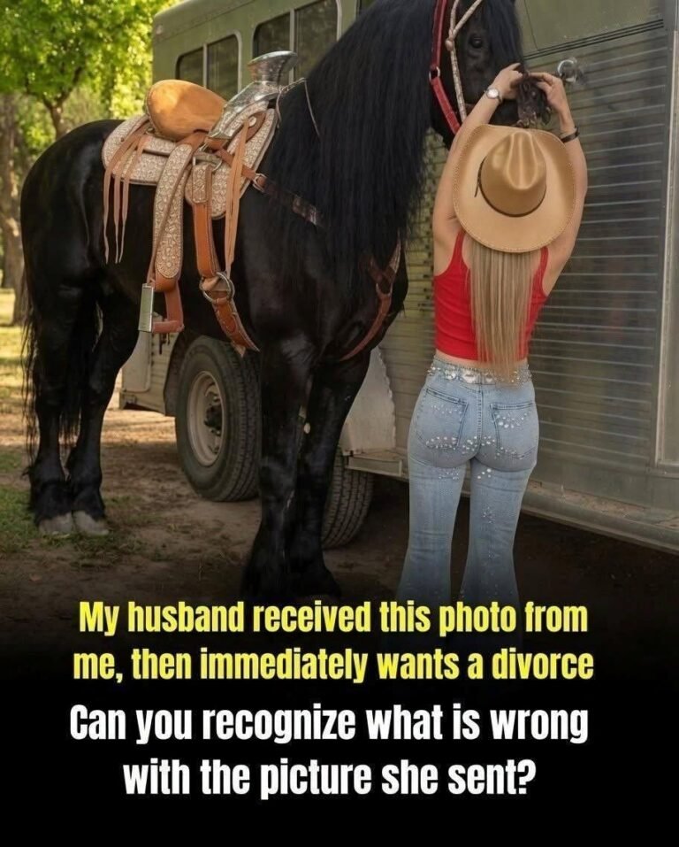 Can you recognize what is wrong with the picture she sent? The answer is in the first comment.