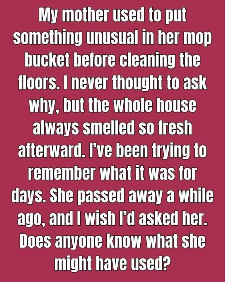 That’s Why You Need to Put a Bay Leaf in the Mop Bucket