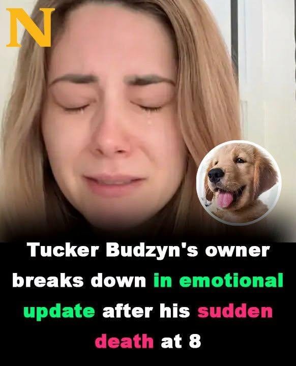 Tucker Budzyn’s owner breaks down in emotional update after his sudden death at 8