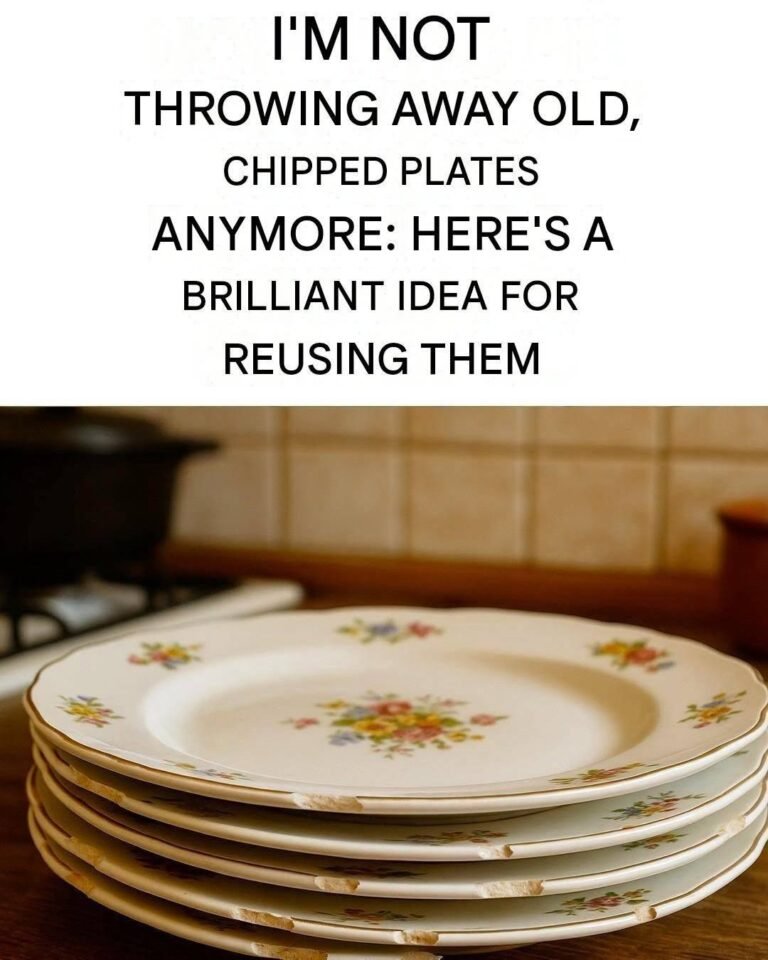 How to reuse old plates: the original idea