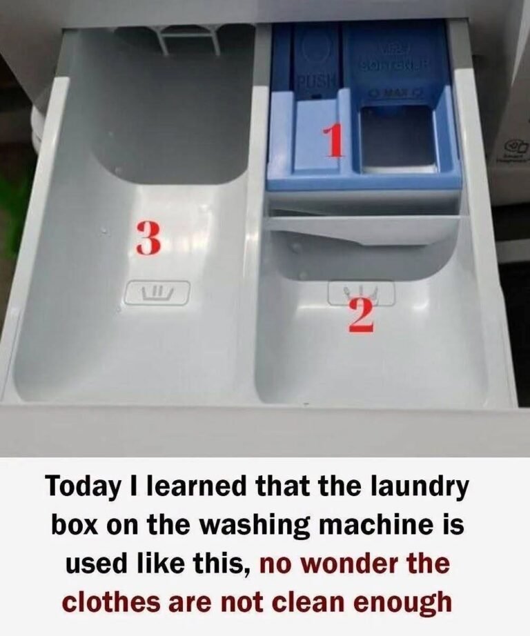 The Right Way to Use Your Washing Machine’s Detergent Drawer