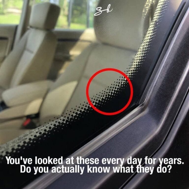 I’m here today when I discovered it! Why have I never heard about this? The answer is in the first cnt
