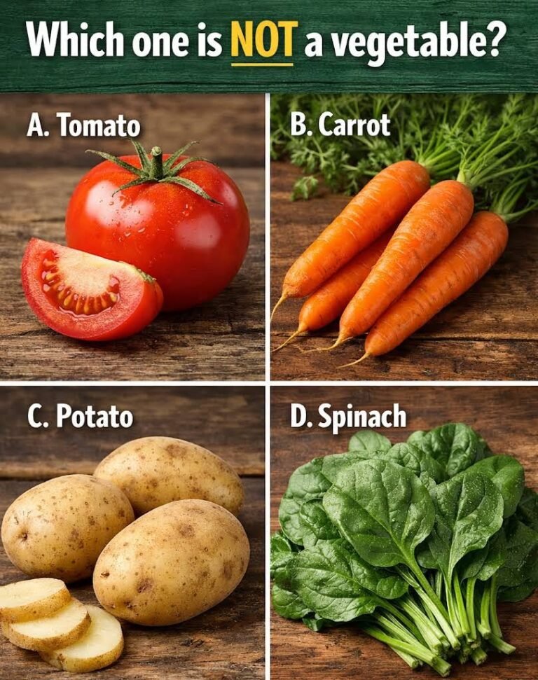 Are You Able to Solve This Tricky Question?