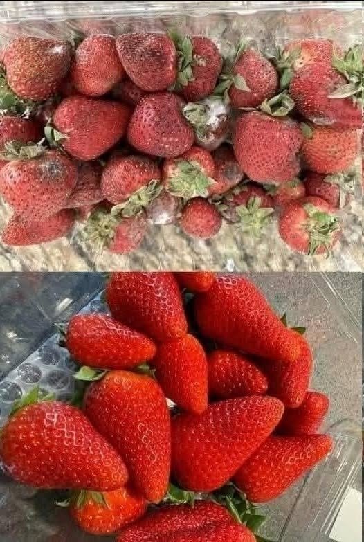 The Farmer’s Strawberry Trick: How to Keep Strawberries Fresh for Days Longer