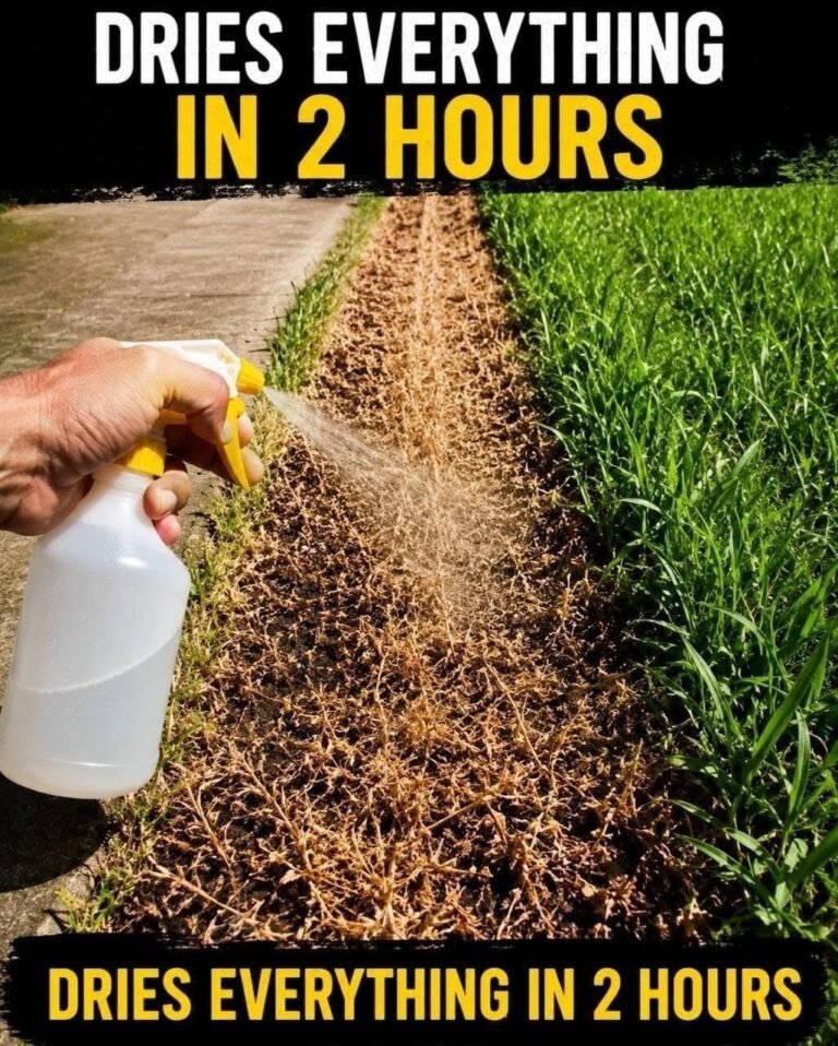 Best Homemade Herbicide: A Simple Non-Toxic Solution for Unwanted Weeds