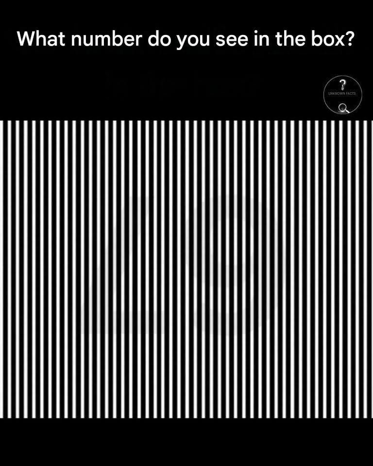 What Number Do You See in the Box?